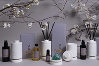 Flacon diffuseur de roseau en céramique élégant personnalisé diffuseur d'arôme décoratif diffuseur de parfum en porcelaine cadeau pour la famille d'amis