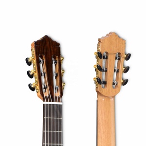 Las 14 Mejores Guitarras Electroacustica Hyundai Cutaway 2022