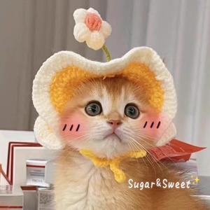 Chapeau pour chat de compagnie, bandeau tricoté à la main avec fleurs, printemps-automne, pour chat britannique à poils courts, décorations en fil doux - Product Image 2