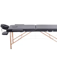 Folding Massage Table, Spa Bed, Hot Sale