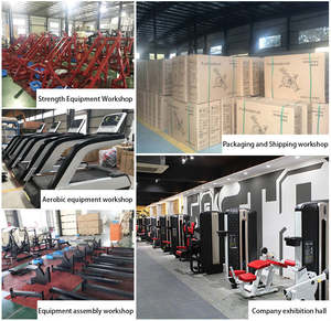 <span class=keywords><strong>Machine</strong></span> abdominale oblique SKFitness à charge par poulie, haute durabilité, couleurs personnalisables, équipement de gym commercial pour clubs de fitness - Product Image 5