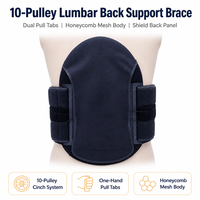 Penyangga Punggung Lumbar Hitam 10 Pulley dengan Panel Ganda, Jaring Sarang Lebah, dan Panel Pelindung Punggung