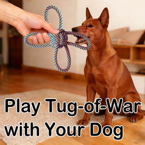 Juguete de Cuerda Resistente a Mordidas, Duradero y Ecológico para Mascotas, Juguete Masticable para Perros, Limpieza de Dientes - Product Image 5