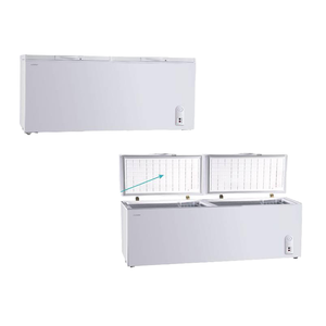 Congélateur coffre <span class=keywords><strong>double</strong></span> porte 200-300 litres, <span class=keywords><strong>double</strong></span> température, dégivrage manuel, grande capacité pour maison, garage et stockage commercial - Product Image 1