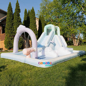 <span class=keywords><strong>Precio</strong></span> <span class=keywords><strong>de</strong></span> fábrica Plataforma inflable <span class=keywords><strong>Piscina</strong></span> Castillo Macaron Color Castillo inflable Tobogán <span class=keywords><strong>Piscina</strong></span> Combinación con aros <span class=keywords><strong>de</strong></span> baloncesto - Product Image 2