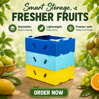 Caisse de tri de fruits en PP ondulé recyclable 4mm/5mm 600x400x250mm avec impression UV et conception pliable pour le transport