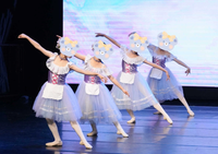 Robe de tutu de ballet romantique pour filles, couleur violet clair, épaules dénudées, dentelle, col à volants, costume de scène pour enfants, compétition de ballerine