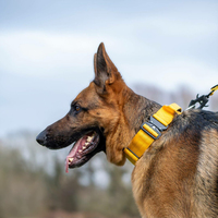Collier tactique pour chien en gros d'usine, en nylon de qualité militaire avec poignée rembourrée douce et patchs personnalisés