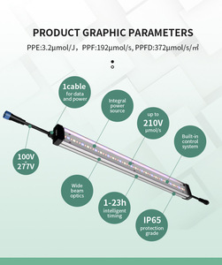 <span class=keywords><strong>Lampe</strong></span> végétale professionnelle Cob IP65 Tube <span class=keywords><strong>de</strong></span> lumière <span class=keywords><strong>de</strong></span> remplissage à économie d'énergie spectre complet élèvent la lumière pour les légumes <span class=keywords><strong>de</strong></span> <span class=keywords><strong>Culture</strong></span> <span class=keywords><strong>de</strong></span> tissus <span class=keywords><strong>de</strong></span> <span class=keywords><strong>semis</strong></span> - Product Image 2