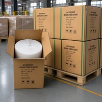 Modul Serat Keramik Bio Soluble dengan Pelapis Aluminium Foil, Sambungan Ekspansi Saluran, Isolasi Refraktori 1260C Putih, Dapat Disesuaikan