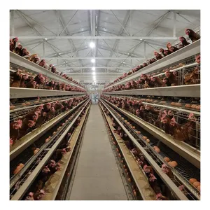 Best Selling Hen Cage 96 120 128 160 Birds Layer Chicken Cage Poultry Battery Chicken Cages For Sale