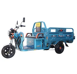Chang li 3 wheel electric cargo tricycle used for adult/cargo bicycle/tricycle/trike