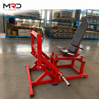 Machine à presser les mollets assise à charge libre pour la musculation des soleus et des gastrocnémies, idéale pour les salles de sport et les clubs de fitness