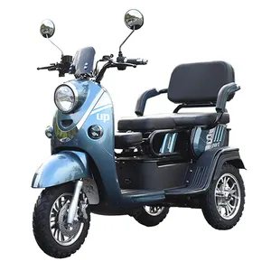 Nzita-triciclo eléctrico de cuerpo cerrado, triciclo eléctrico de 5 puertas motorizado, China, nuevo diseño