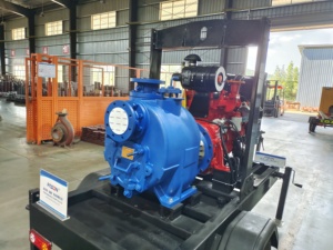 Bomba de Agua de Alta Presión con Motor Diésel, Precio de Fábrica, para Riego, Agricultura y Minería de Oro, Autocebante, Marca <span class=keywords><strong>Pason</strong></span> - Product Image 2