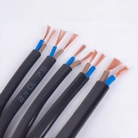 Câble d'alimentation plat souple à 2 conducteurs de 0,5 à 4 mm², gainé, en cuivre pur, pour éclairage LED, cordon d'alimentation automobile, projets de bricolage