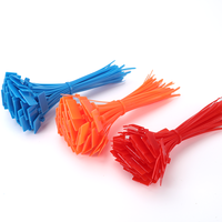 Étiquette d'attache de câble en plastique d'identification personnalisée étiquette de cravate avec logo attaches à glissière de câble autobloquantes colorées avec étiquette