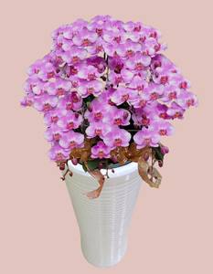 F313 Plateau d'orchidées moderne à installation rapide avec capacité de 8 orchidées pour les banquets de Thanksgiving et les présentoirs floraux de mariage - Product Image 2