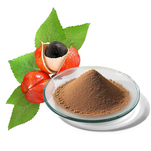 Poudre d'extrait de graines de <span class=keywords><strong>Guarana</strong></span> naturelle de haute qualité, très vendue - Product Image 1
