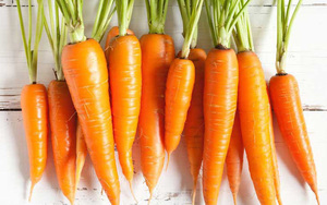 fresh carrot from vietnam - Product Image 4