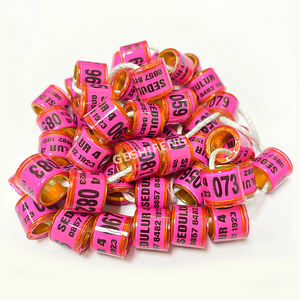 Goede Kwaliteit Racing Ringen Voor Duiven <span class=keywords><strong>8</strong></span> Mm, Fci Nationale Vereniging Duif <span class=keywords><strong>Ring</strong></span> - Product Image 6