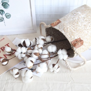JCF239 naturale dieci <span class=keywords><strong>rami</strong></span> di cotone autunno fiori secchi <span class=keywords><strong>decorativi</strong></span> steli di cotone bianco per composizioni floreali - Product Image 4
