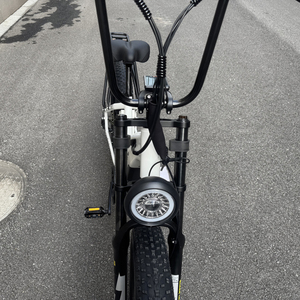 20 pollici 750w doppio pneumatico grasso elettrico Mountain Bike Vintage Bici elettrica 2 posti Beach Cruiser Max - Product Image 3