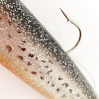 Leurre souple biomimétique lesté au plomb de 25 cm/430 g à coulée lente pour la pêche en mer et en bateau sans hameçons