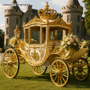 Remolque Eléctrico Royal en Venta con Capota Alta Personalizada, Aire Acondicionado y Luces LED, Estilo Carruaje - Product Image 4