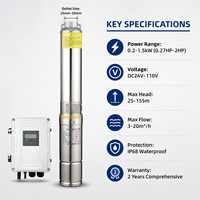 Pompe solaire submersible haute précision en acier inoxydable à large plage de tension CC 48V-110V avec contrôleur intelligent pour les zones rurales de Tanzanie