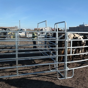 Pannelli per Recinzioni in Metallo Sheep Safe Australia Ranch, Zincati a Caldo, Design a Maglia Piccola, Prevenzione degli Intrichi, Modellazione 3D - Product Image 2