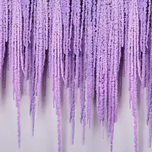 High Quality White Purple Wedding Supplies Decorative Flowers Wreaths And Plants Amaranthus Preserved For Decor