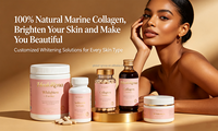 Poudre de collagène marin multi-peptides en gros OEM/ODM, complément cutané à spectre complet avec vitamine C et acide hyaluronique, personnalisable