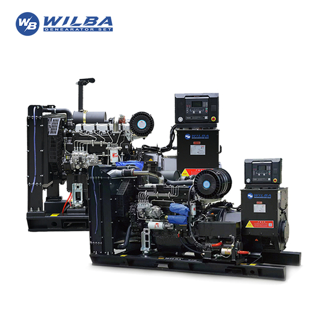 Heavy-Duty Containerized Generator GN-191