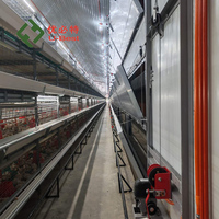 Offre Spéciale : Distributeur Automatique de Nourriture pour Poulets, Équipement d'Élevage Avicole, Cage à Batterie pour Poulets de Chair (10 000 oiseaux), Durable et Stable