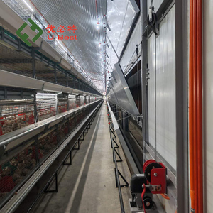 Oferta Especial: Comedero Automático <span class=keywords><strong>para</strong></span> <span class=keywords><strong>Pollos</strong></span>, Equipo <span class=keywords><strong>de</strong></span> Avicultura, Jaula <span class=keywords><strong>para</strong></span> <span class=keywords><strong>Pollos</strong></span> <span class=keywords><strong>de</strong></span> Engorde <span class=keywords><strong>para</strong></span> 10000 Aves, Duradero y Estable - Product Image 6