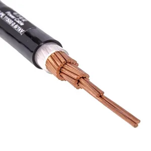 Câble d'alimentation XLPE PVC Type <span class=keywords><strong>U1000</strong></span> R2V <span class=keywords><strong>R02V</strong></span> RVFV 0.6/1kV YJV YJLV avec conducteurs en cuivre et aluminium - Product Image 1