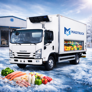 New Magitruck 6tons Refrigerated Freezer Van Truck Diesel Hydraulic Lifting LHD RHD Small Trucks -18C Cold Chain - Product Image 1