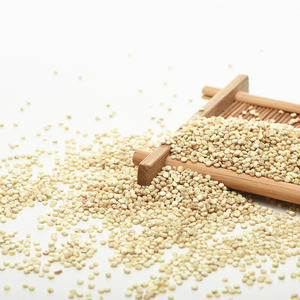सफेद क्विनोआ अनाज स्वास्थ्य देखभाल अनाज के थोक ताजा स्टॉक का थोक आपूर्तिकर्ता - Product Image 3