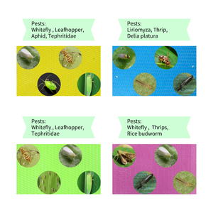 Herramienta desechable para atrapar insectos, trampas amarillas, tablero adhesivo para avispas, mosquitos y moscas de la fruta - Product Image 3
