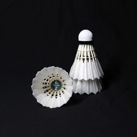 Heißer Verkauf Professioneller Internationaler Turnier-Linton Super Grade Entenfeder Designer Federball Badminton A+++ Fly