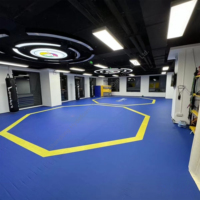 Tapis modulaire Hydefoam à dérouler avec connexion Velcro pour MMA, BJJ, grappling et entraînement multi-sites