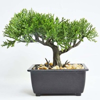 Arbre Bonsaï Artificiel, Plantes Vertes Artificielles de Luxe pour la Décoration de la Maison, du Bureau, de l'Hôtel, Aménagement Paysager Intérieur