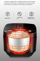 Cuisinière à riz électrique portable multifonctionnelle avec écran LED numérique, revêtement antiadhésif, boîtier en plastique, capacité de 5 L, cuisson rapide, idéale pour les camping-cars