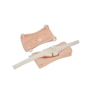 Model Sendi Lutut Manusia Model Artroskopik Lutut Model Injeksi Lutut - Product Image 5