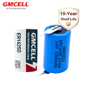 Batterie ER14250 personnalisée avec languettes à souder Li-SOCl2 1/2AA avec borne soudée pour compteur d'eau et de gaz - Product Image 1