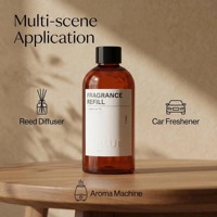 Ensemble cadeau diffuseur de parfum en plastique avec impression numérique de logo personnalisé, articles de luxe pour hôtel, flacon de recharge pour désodorisant d'ambiance