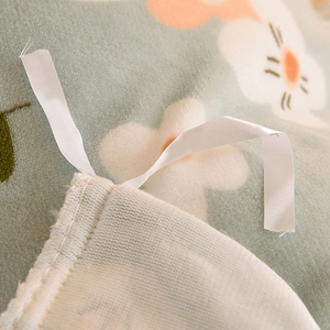 Mềm Sang Trọng Mùa Đông Dày Hai Mặt Lông Cừu Tấm Ga Giường Đặt Nhiều Màu Sắc Có Thể Giặt Sữa San Hô Nhung Bộ Đồ Giường Bìa Đặt - Product Image 5