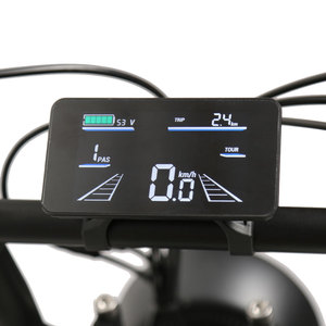 Bicicleta Eléctrica Económica con Llantas Gruesas de 20''*4, Motor de 48V 250W, Batería de Alta Capacidad de 14.5Ah, Motocicleta Eléctrica - Product Image 6