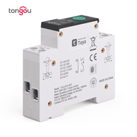 Disjoncteur intelligent Wi-Fi Tuya en plastique, capacité de coupure 6kA, contrôle à distance sans fil via téléphone portable, protection contre les sous-tensions